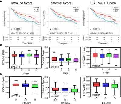 Identification and Validation of a Prognostic Gene Signature for Diffuse Large B-Cell Lymphoma Based on Tumor Microenvironment-Related Genes